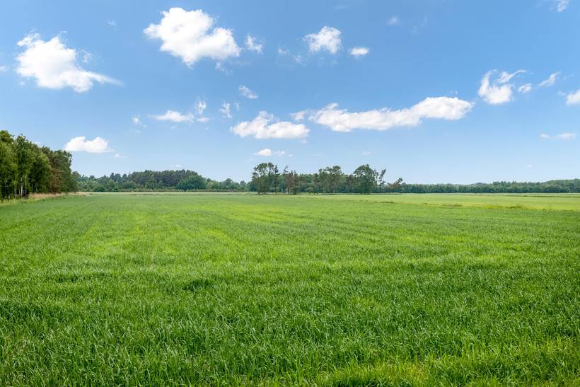 Foto von Ferienhaus VK17 auf Byrum - Læsø