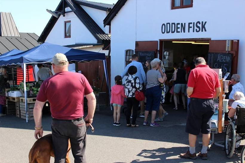 Foto von Ferienhaus VK91 in Sjællands Odde - Westseeland