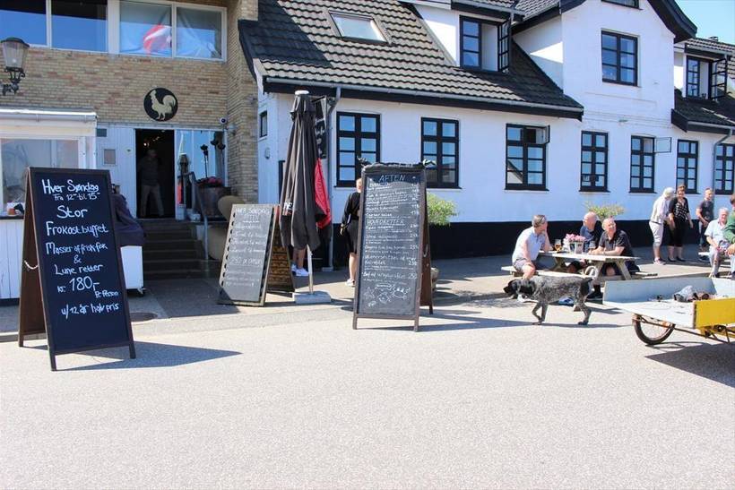 Foto von Ferienhaus VK91 in Sjællands Odde - Westseeland