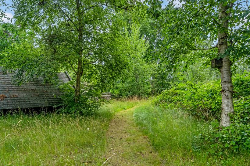 Foto von Ferienhaus VL42 in Gedesby - Falster