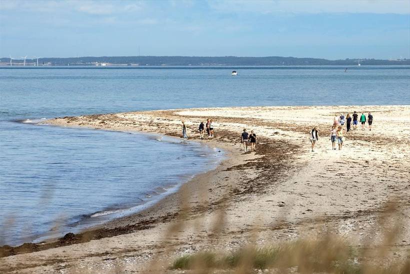 Foto von Ferienhaus VL81 in Nordby - Samsø