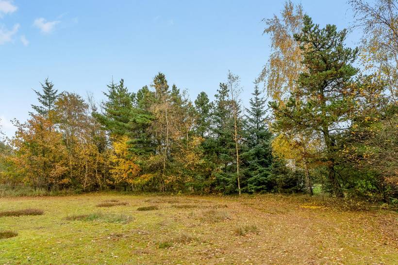 Foto von Ferienhaus VM58 in Bratten - Nordjütland Ost