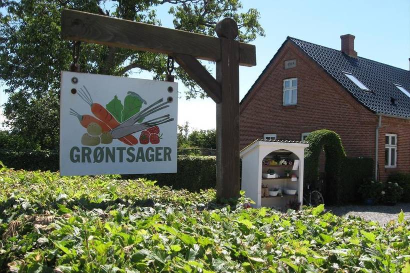 Foto von Ferienhaus VM60 in Mårup - Samsø