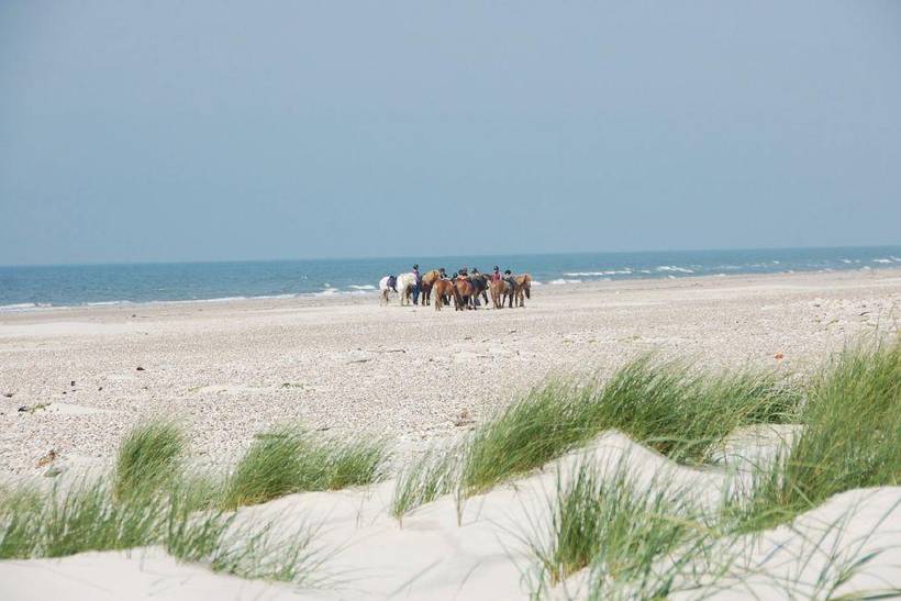 Foto von Ferienhaus VM95 in Blåvand - Westjütland
