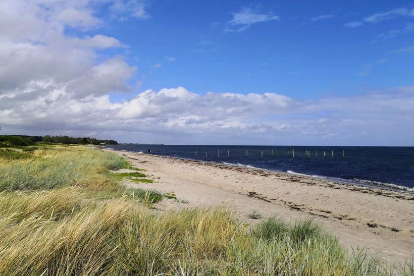 Foto von Ferienhaus VN25 in Spodsbjerg - Langeland
