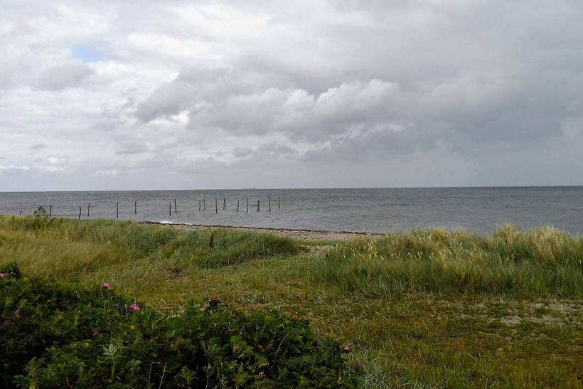 Foto von Ferienhaus VN25 in Spodsbjerg - Langeland