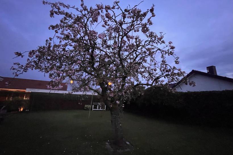 Foto von Ferienhaus VO91 in Gredstedbro - Südjütland