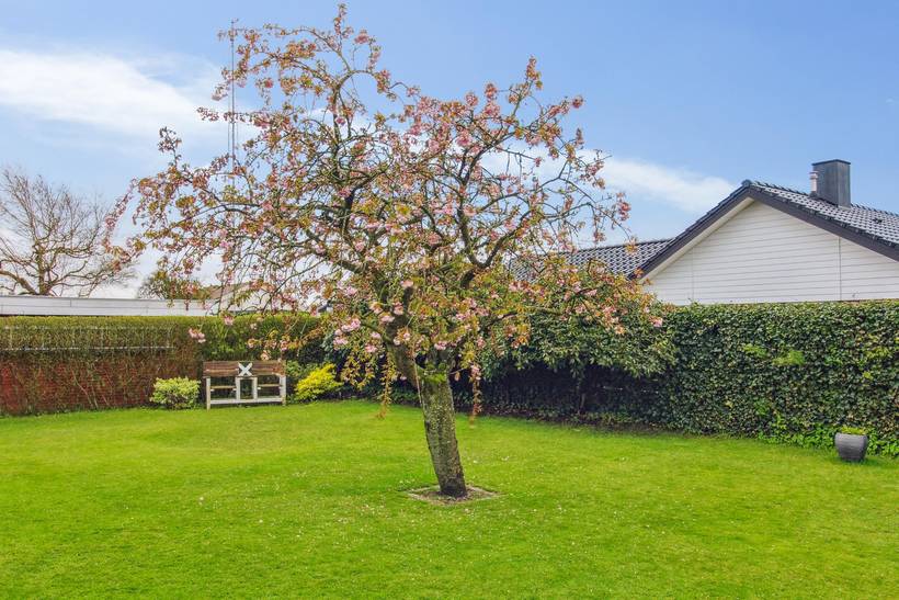 Foto von Ferienhaus VO91 in Gredstedbro - Südjütland