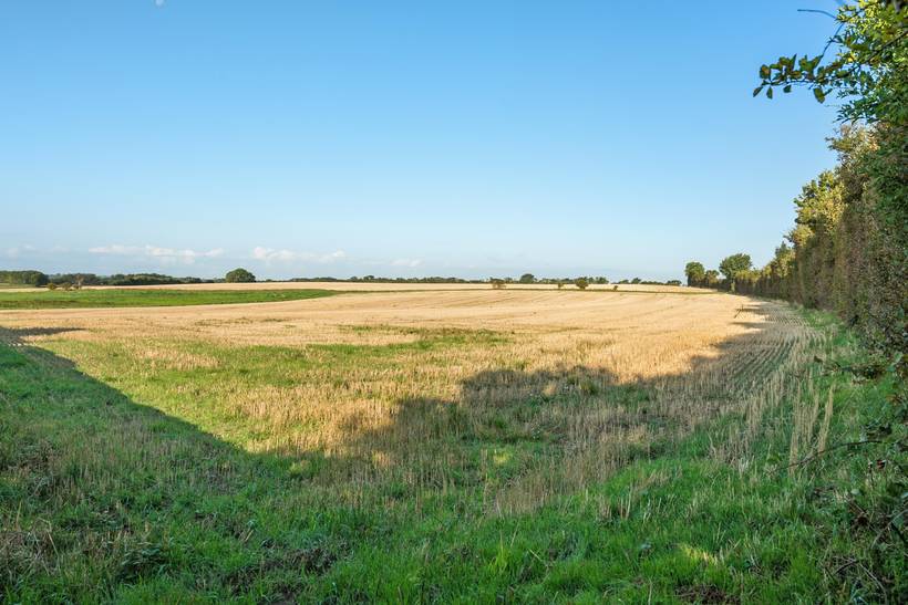 Foto von Ferienhaus VO98 in Flovt - Südjütland