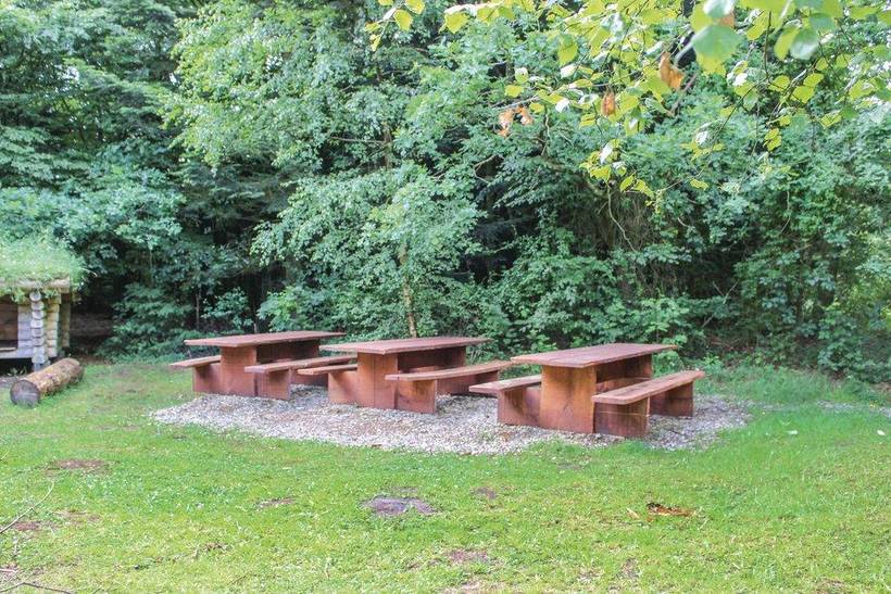 Foto von Ferienhaus VP49 in Løgumkloster - Südjütland