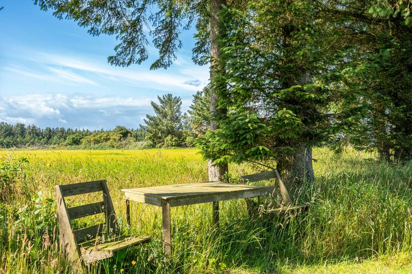 Foto von Ferienhaus VQ15 in Skallerup Klit - Lønstrup - Nordjütland