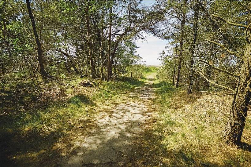 Foto von Ferienhaus VQ91 in Sejerø Bugt - Westseeland