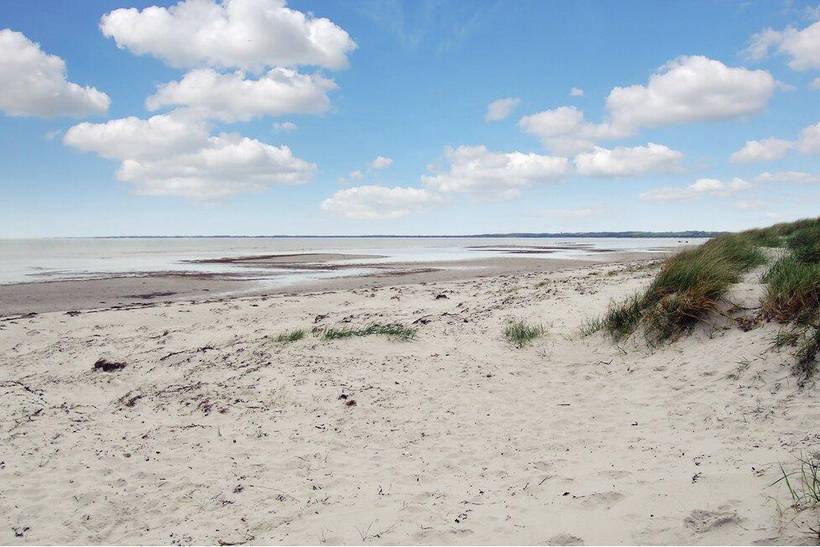 Foto von Ferienhaus VQ91 in Sejerø Bugt - Westseeland