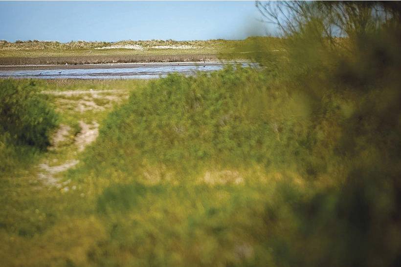 Foto von Ferienhaus VQ91 in Sejerø Bugt - Westseeland