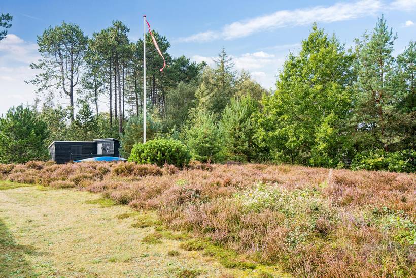 Foto von Ferienhaus VQ94 in Vesterø - Læsø