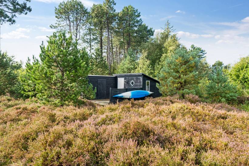 Foto von Ferienhaus VQ94 in Vesterø - Læsø