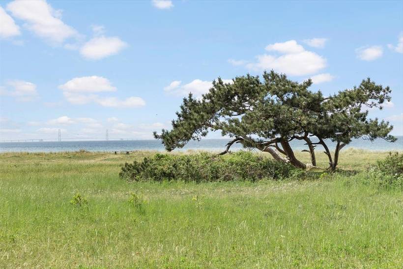 Foto von Ferienhaus VQ97 in Stillinge - Westseeland