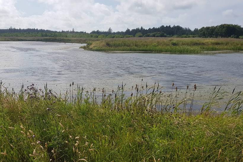 Foto von Ferienhaus VR37 in Løkken - Nordjütland