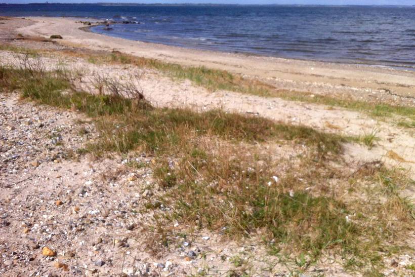 Foto von Ferienhaus VS12 in Selde - Thy/Limfjord