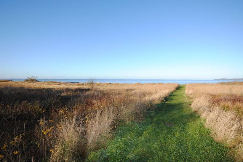 Foto von Ferienhaus VS12 in Selde - Thy/Limfjord
