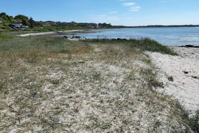 Foto von Ferienhaus VS27 in Lyngsbæk - Ebeltoft - Ostjütland