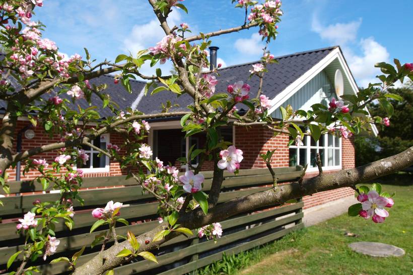 Foto von Ferienhaus VS31 in Houstrup - Westjütland