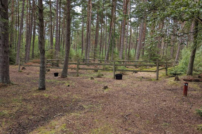 Foto von Ferienhaus VS52 in Byrum - Læsø