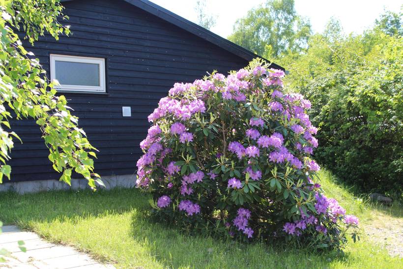 Foto von Ferienhaus VS54 in Egsmark - Ebeltoft - Ostjütland