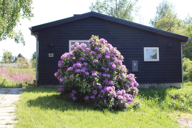 Foto von Ferienhaus VS54 in Egsmark - Ebeltoft - Ostjütland