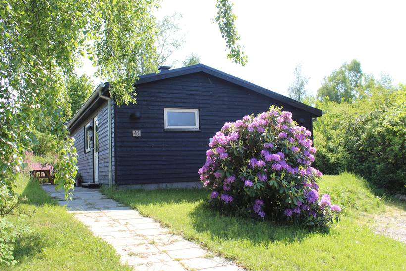 Foto von Ferienhaus VS54 in Egsmark - Ebeltoft - Ostjütland