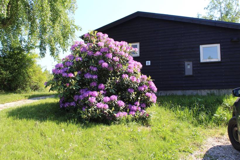 Foto von Ferienhaus VS54 in Egsmark - Ebeltoft - Ostjütland