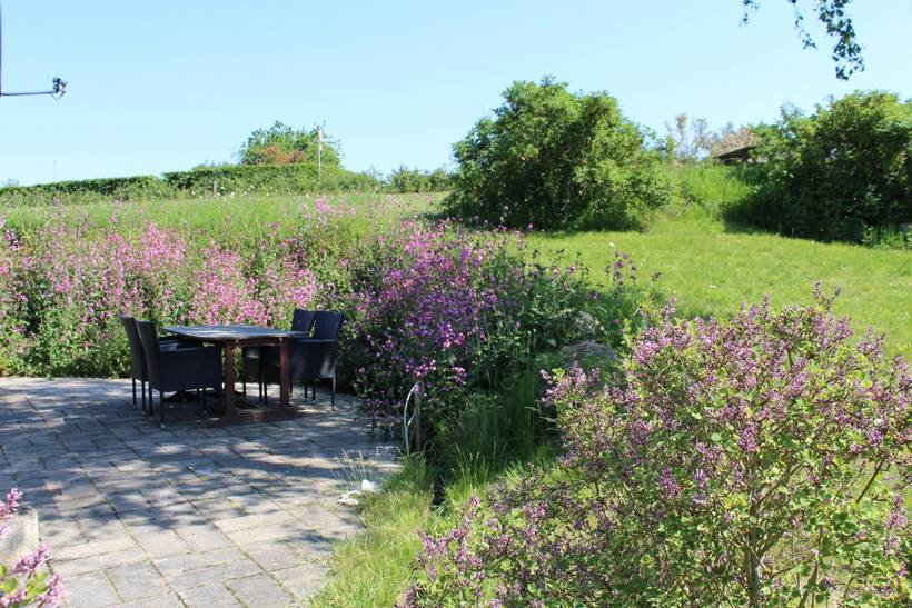 Foto von Ferienhaus VS54 in Egsmark - Ebeltoft - Ostjütland