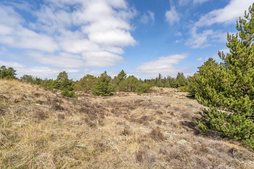 Foto von Ferienhaus VS58 in Blåvand - Westjütland