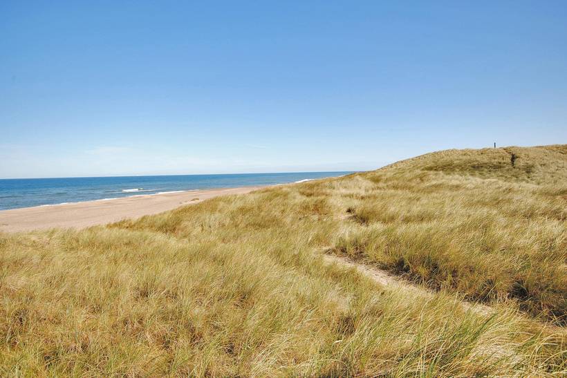 Foto von Ferienhaus VT05 in Vangså - Thy/Limfjord