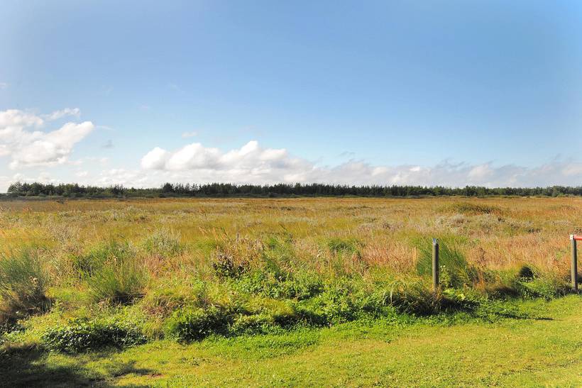 Foto von Ferienhaus VT05 in Vangså - Thy/Limfjord