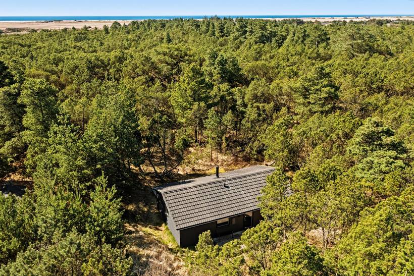 Foto von Ferienhaus VT74 in Blåvand - Westjütland