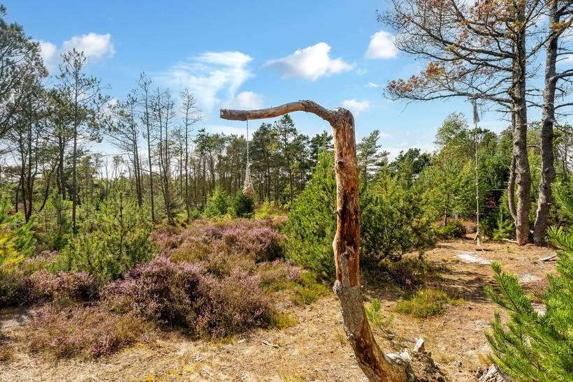 Foto von Ferienhaus VU12 in Ålbæk - Nordjütland Ost