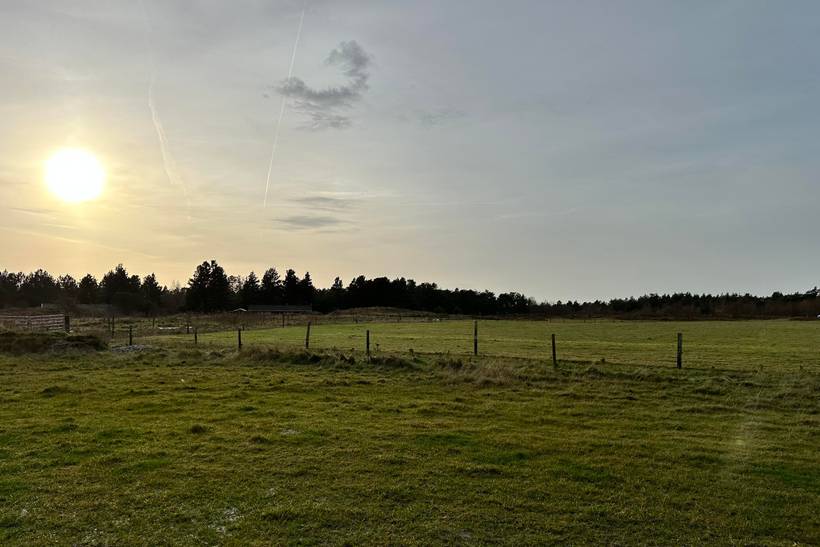 Foto von Ferienhaus VU25 in Kromose - Rømø