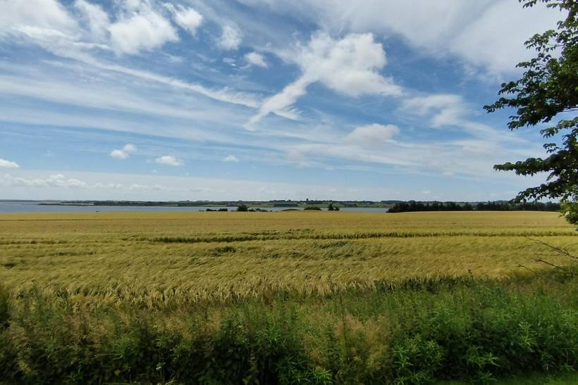 Foto von Ferienhaus VU73 auf Mors - Thy/Limfjord