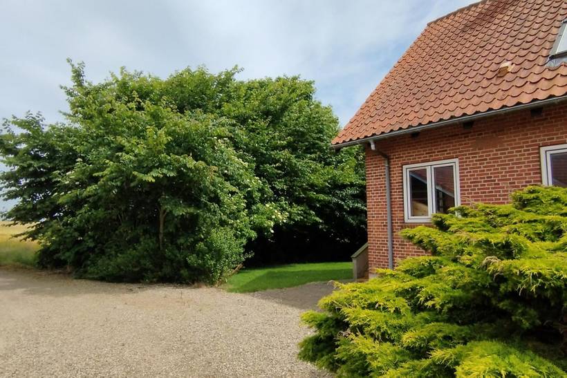 Foto von Ferienhaus VU73 auf Mors - Thy/Limfjord