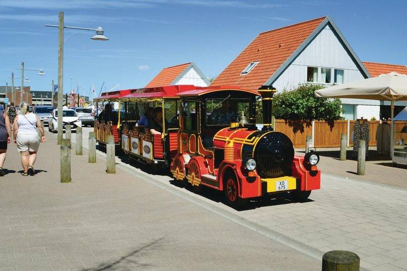 Foto von Ferienhaus VU80 in Lodbjerg Hede - Søndervig - Westjütland