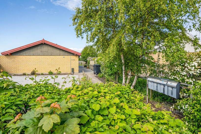 Foto von Ferienhaus VV05 in Skagen - Nordjütland