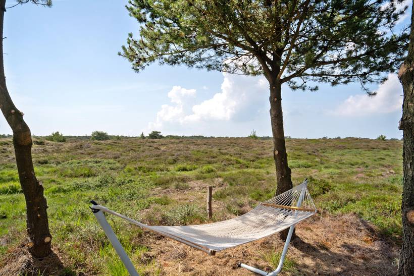 Foto von Ferienhaus VV23 in Kongsmark - Rømø