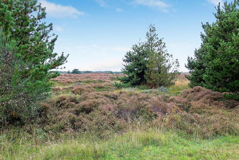 Foto von Ferienhaus VV23 in Kongsmark - Rømø