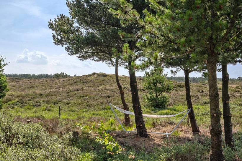 Foto von Ferienhaus VV23 in Kongsmark - Rømø