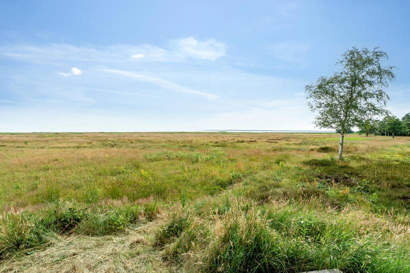 Foto von Ferienhaus VV38 in Østerby - Læsø