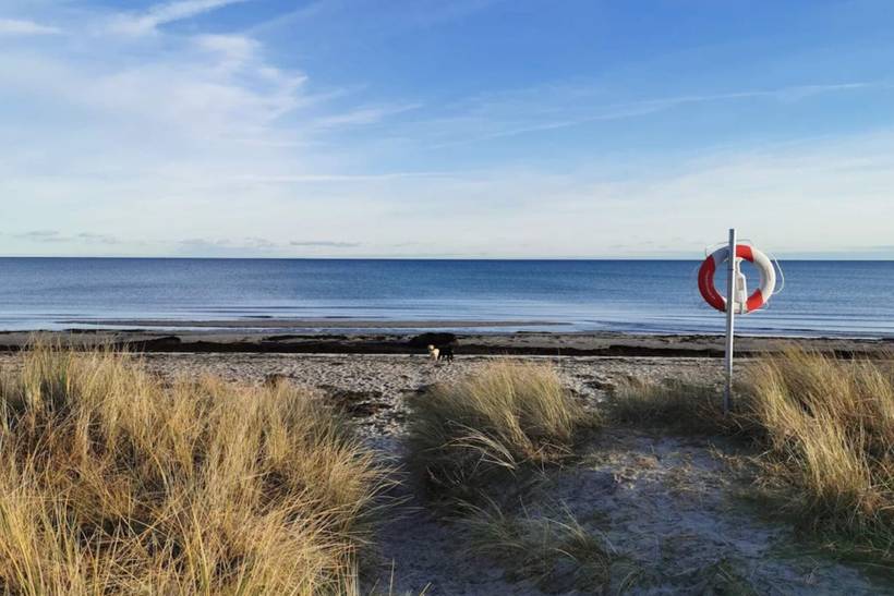 Foto von Ferienhaus VV40 in Marielyst - Falster
