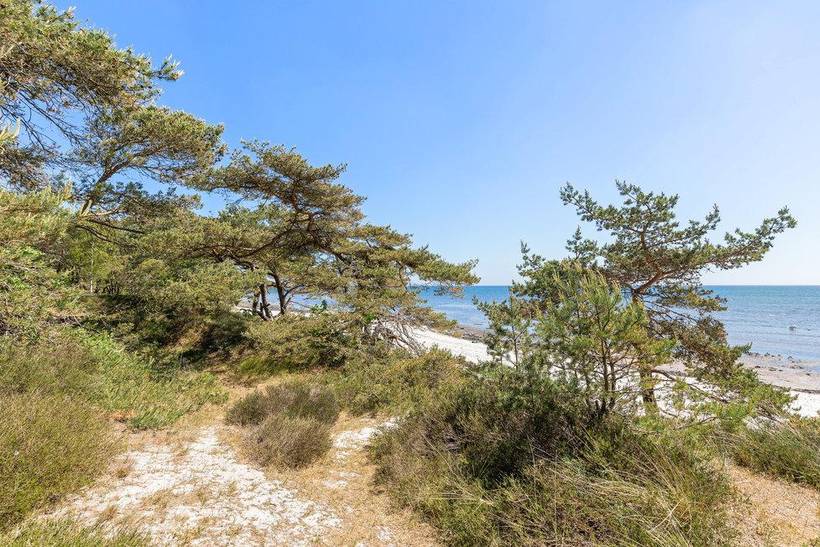 Foto von Ferienhaus VX52 in Dueodde - Bornholm