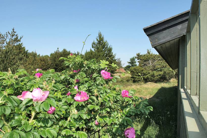 Foto von Ferienhaus VY11 in Sønderho - Fanø