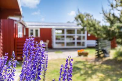 Vorschaubild von Ferienhaus VZ55 in Lakolk - Rømø